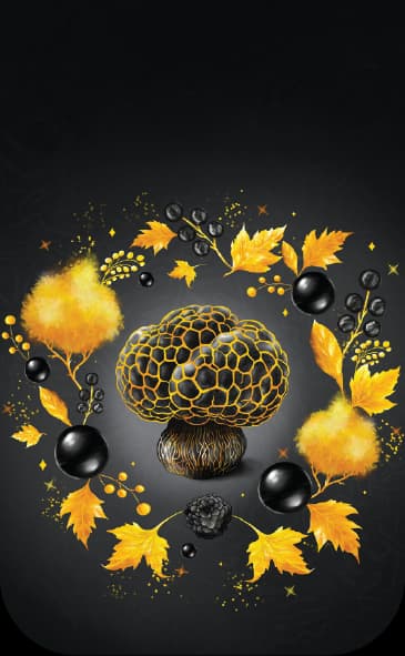 Златна мрежа